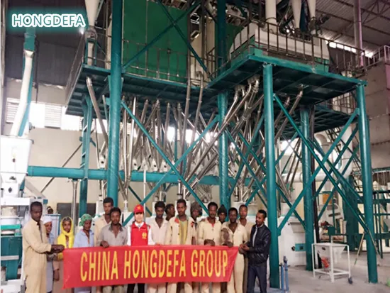 アフリカ向け高品質80t/24h小麦粉製粉装置